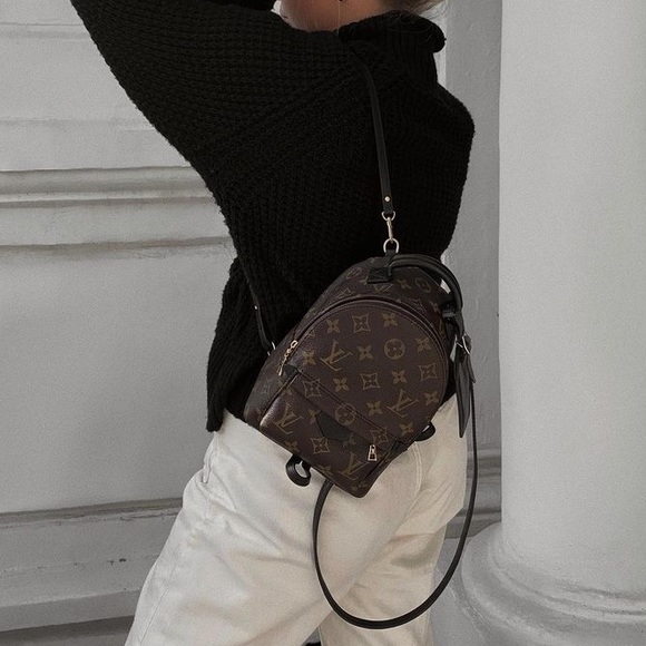 LV Palm Spring Mini - Picture 5 of 15